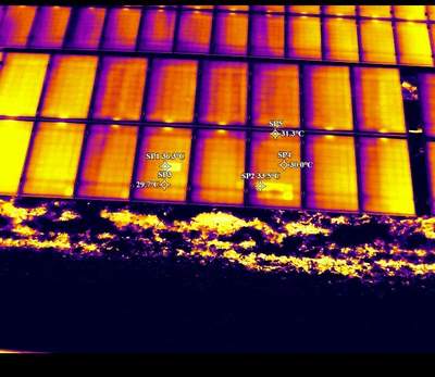Termogramma con punti di misura SP1-SP5